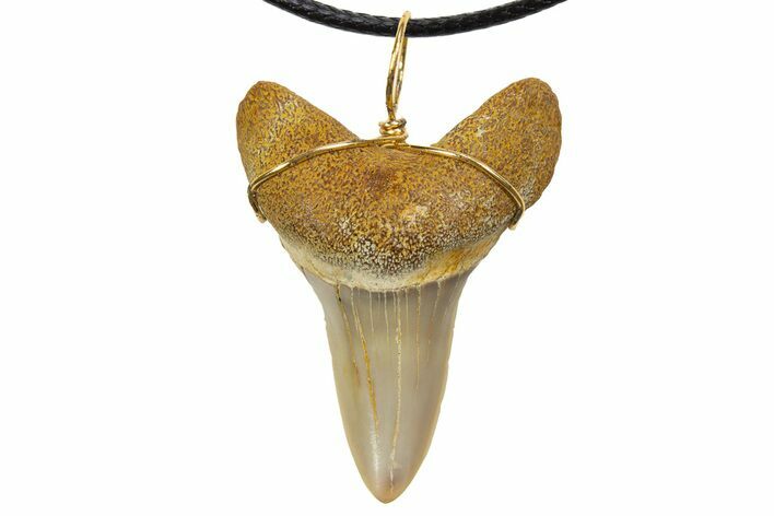 Fossil Mako Shark Tooth Necklace - Bakersfield, California #318836
